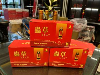 Đông trùng hạ thảo Đại Vinh Hộp 10 lọ (loại hộp thường)