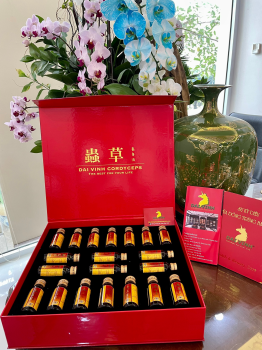 Đông trùng hạ thảo Đại Vinh Hộp 10 lọ