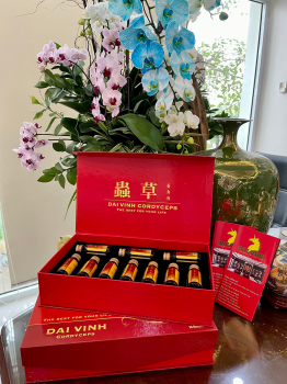 Đông trùng hạ thảo Đại Vinh Hộp 10 lọ